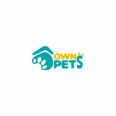 Eye Protection For Your Dog Dog Eye Goggles
