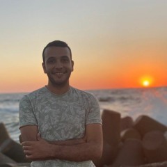 Ayman El Helw