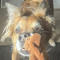 bekkkkkkkkkkkkkkkk