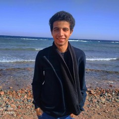 Ahmad Y.Gamal