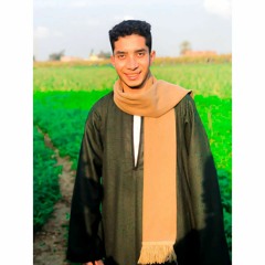 Mostafa Gamal Elbakry