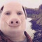 gooba_69