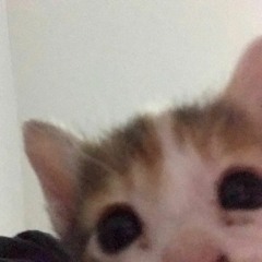 fmd