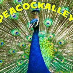 PeacockAlley