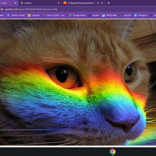 Rainbow’s avatar