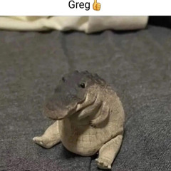 Greg👍