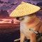 PERRO REFLEXIVO