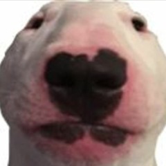 Drew R Claypoole1988