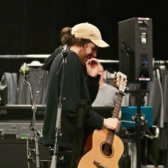 hoziers wasteland baby