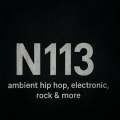 N113