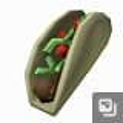 taco tuesday