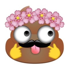 DJpoopy