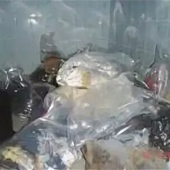 ㅤ尸A₰Ħ3ᶍ↓Xᶍ 卍✂️ Fཀ( ⸮ ๑ˠ гГЪ Њ — Yฏ๎  तरल 1💧. . 4.