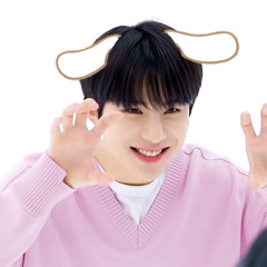 fairysseok