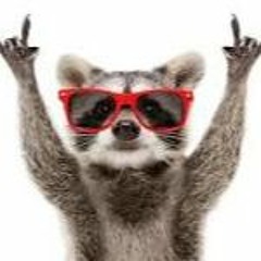Rock & Roll