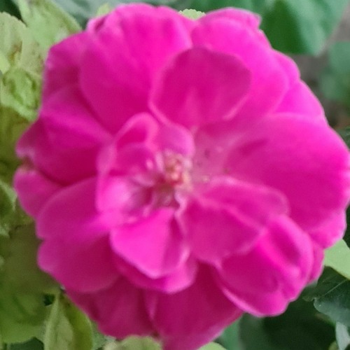 طفلة حزينة