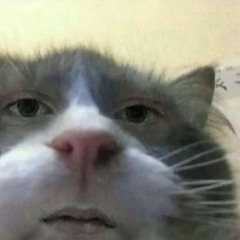 katzeatze69
