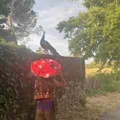 Manuela Porto da Cruz