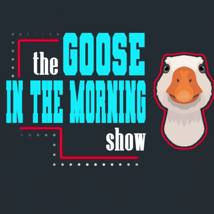 Goose In The Morning