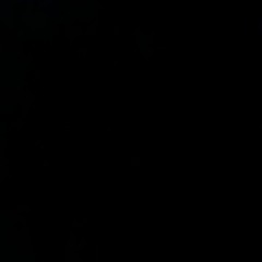 nicox_nx