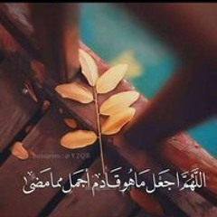 Alyaa Mohamed Youssef