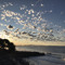 BAREFOOT @ BONDI BEACH