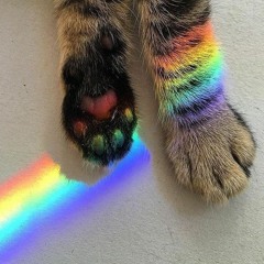 ALEXKITTZ