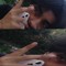 j3rry