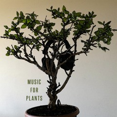 Music For Plants
