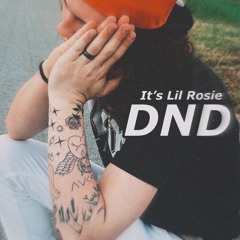 its Lil Rosie (@itslilrosie)