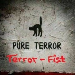 Dj.Terror-Fist/ϝǃʂƚʂƚყʅҽȥ