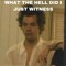 I love harry styles I am the biggest fan