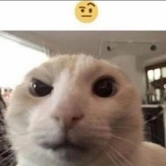 🤨