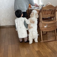 @uuozinl