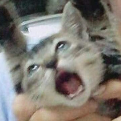 XXp
