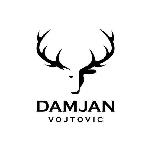 Damjan Vojtovic’s avatar