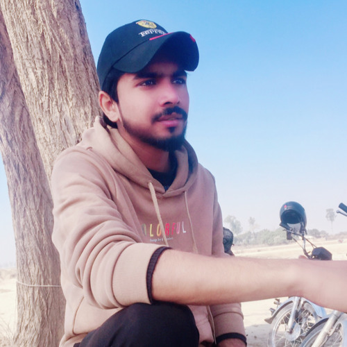 M. Shahzaib’s avatar