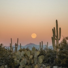 Wendoly Monteiro Da Costa