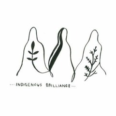 Indigenous Brilliance Podcast