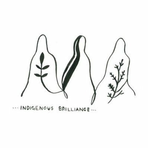 Indigenous Brilliance Podcast’s avatar