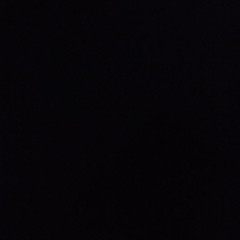 chrisbis archives