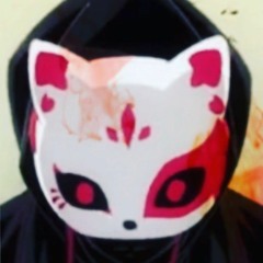 Night Fox