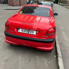sanchik228
