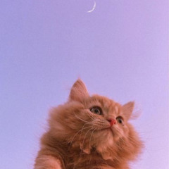 emlacongchuabongbong