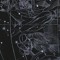 Knight0567