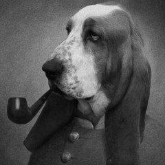 Dawgtor