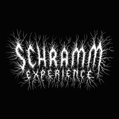 Ｓｃｈｒａｍｍ Ｅｘｐｅｒｉｅｎｃｅシュラム体験