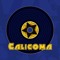 Calicoma