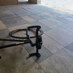 울산픽도