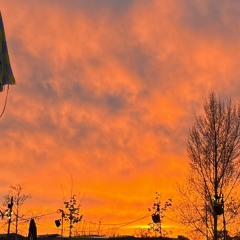 Rutger van Laarhoven